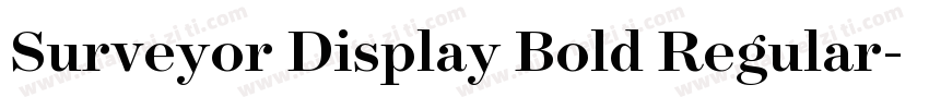 Surveyor Display Bold Regular字体转换